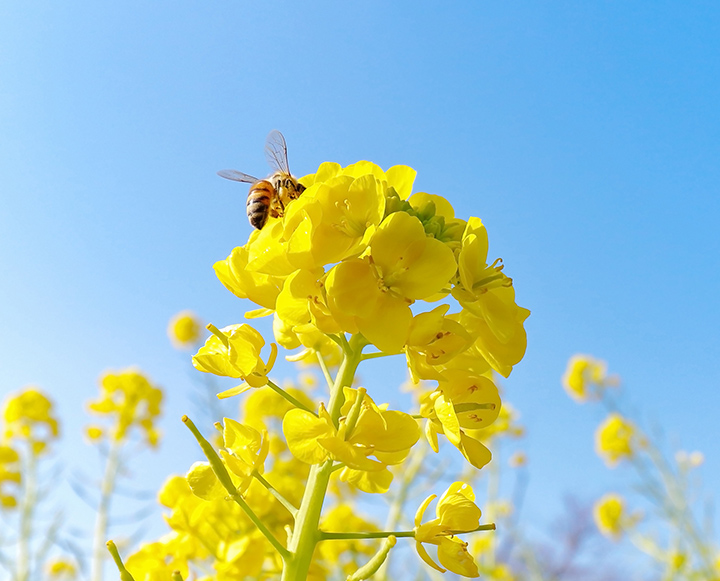 院長 澤田 紘美